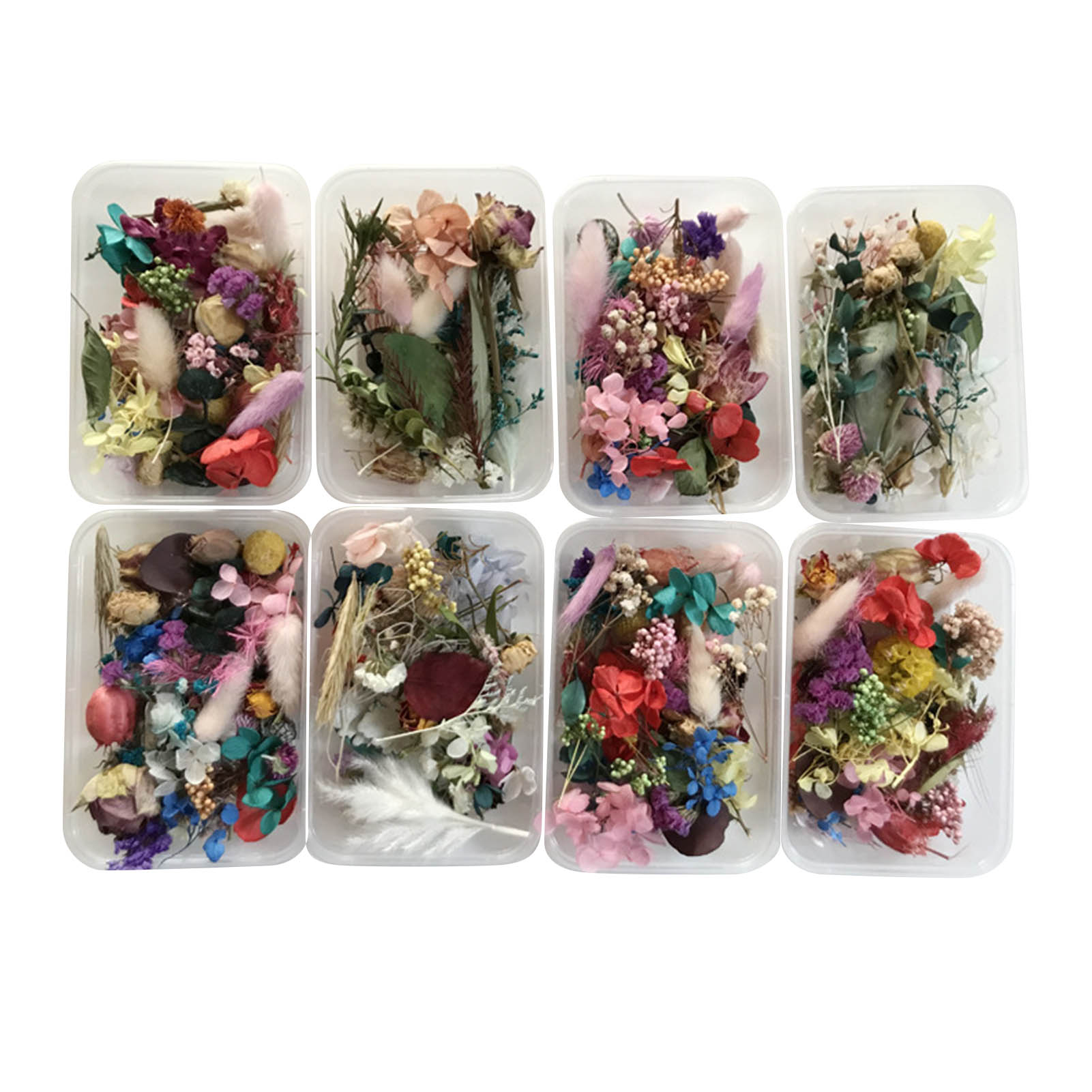 Dried Herbs - Natural Dried Flower Kit Pressed Artwork