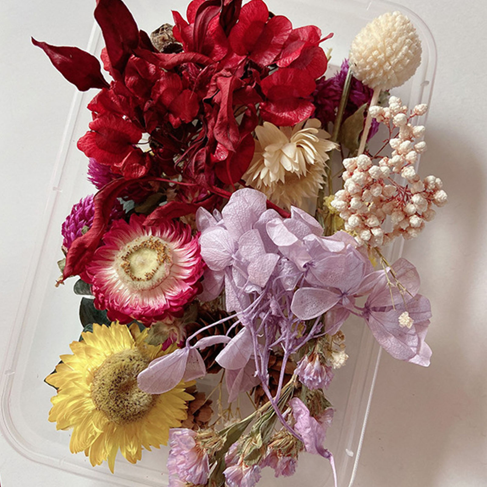 Natural Dried Flower Kit Press - Dried Herbs 评论和价格