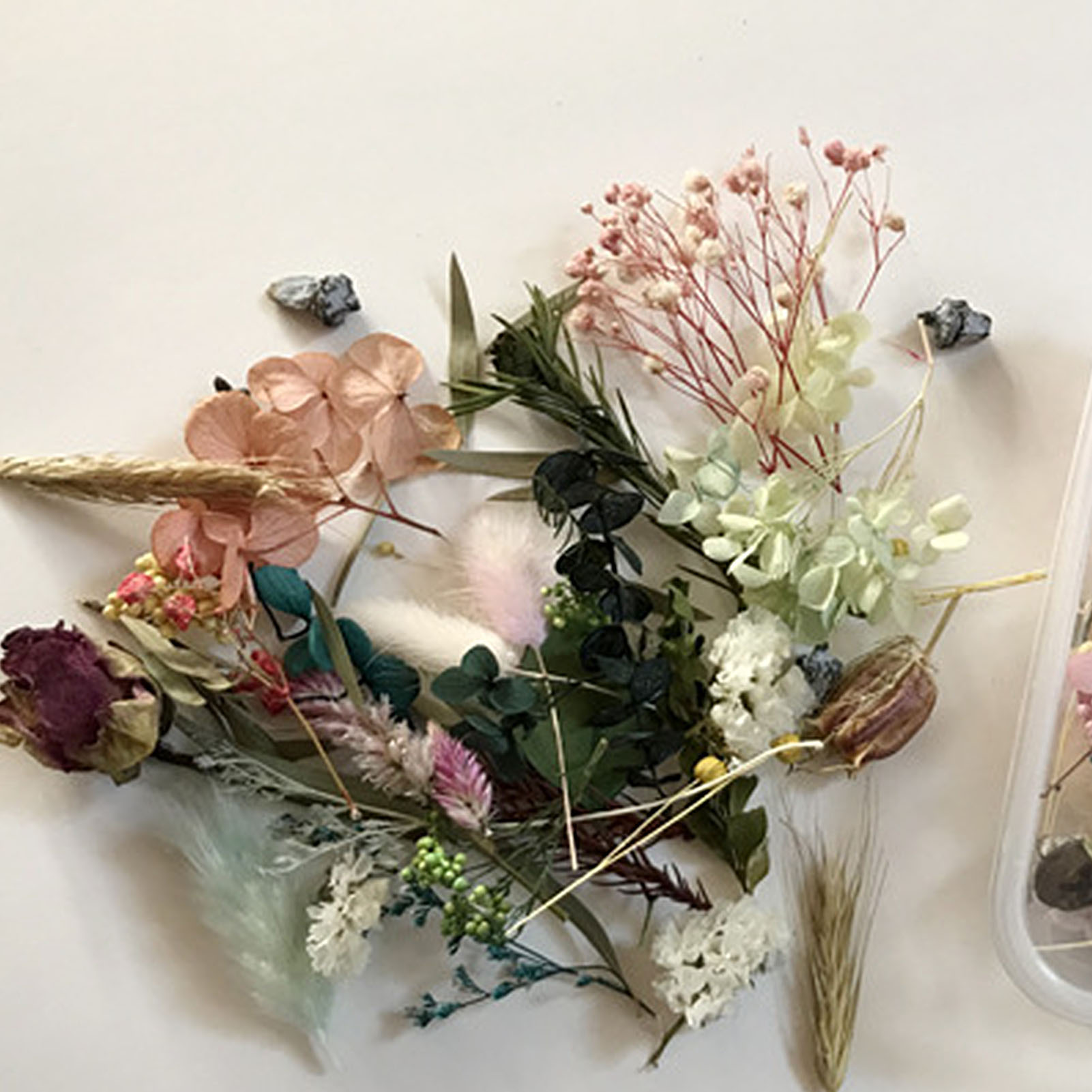 Natural Dried Flower Kit Press - Dried Herbs 评论和价格