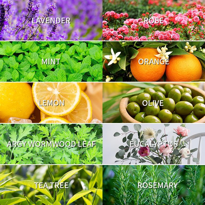 Aromatherapy Essential Oil 10m - Lavender Oil 评论和价格