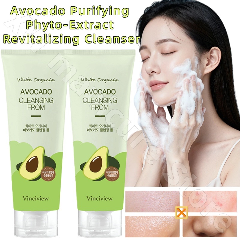 Korean Chamomile Tea Tree Avoc - Chamomile Tea 评论和价格