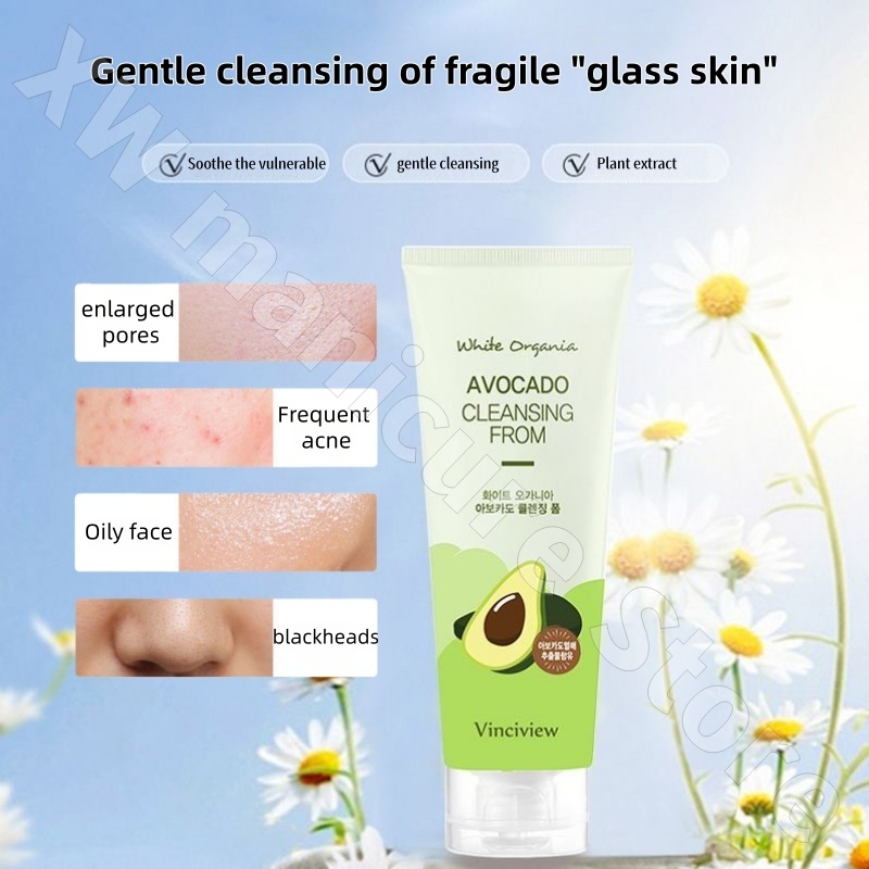 Korean Chamomile Tea Tree Avoc - Chamomile Tea 评论和价格